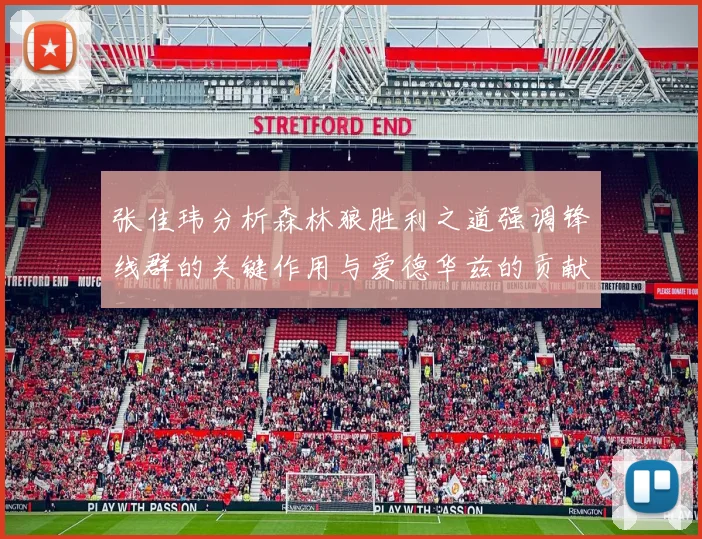 张佳玮分析森林狼胜利之道强调锋线群的关键作用与爱德华兹的贡献